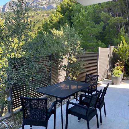 Franka 1 * 브렐라